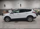 Ford Escape Sel Image 12