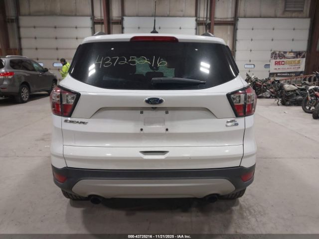 Ford Escape Sel Image 13