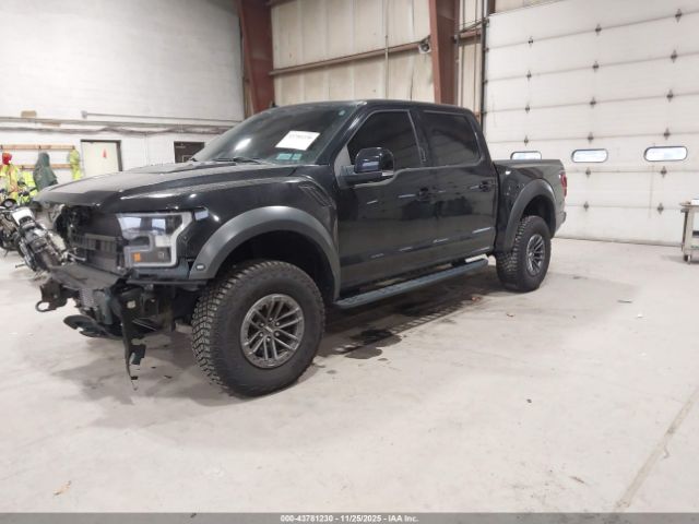 Ford F-150 Raptor Image 2