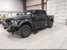 Ford F-150 Raptor Image 2