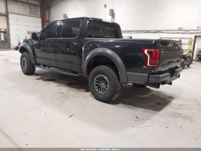 Ford F-150 Raptor Image 3