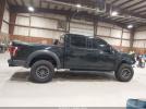 Ford F-150 Raptor Image 10