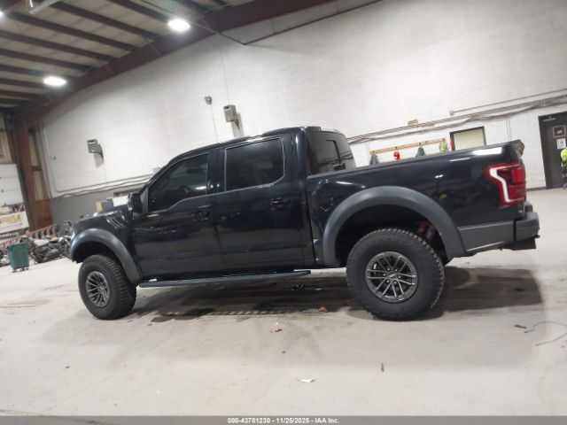 Ford F-150 Raptor Image 13