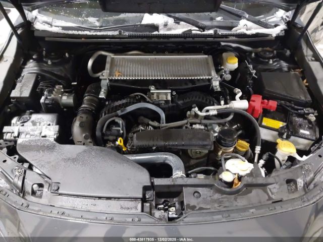 Subaru WRX Premium Image 3