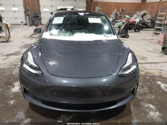 Tesla Model 3 Image 3