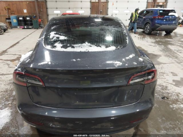 Tesla Model 3 Image 13