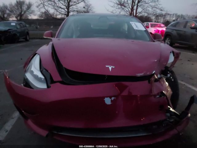 Tesla Model 3 Image 6