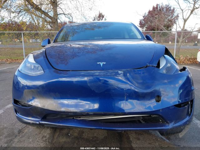 Tesla Model Y Image 6