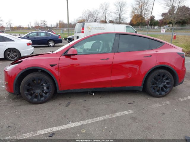 Tesla Model Y Long Range Dual Motor All-wheel Drive Image 12