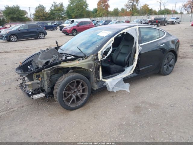 Tesla Model 3 Image 19