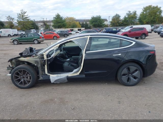 Tesla Model 3 Image 14
