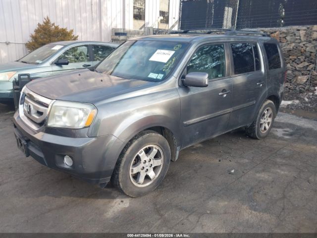 Honda Pilot Touring Image 2